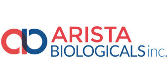 Arista